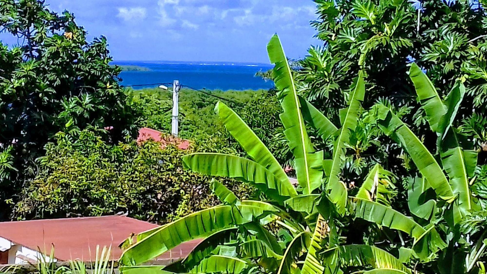 Ilet Blanc Villa Sainte-Rose Buitenkant foto